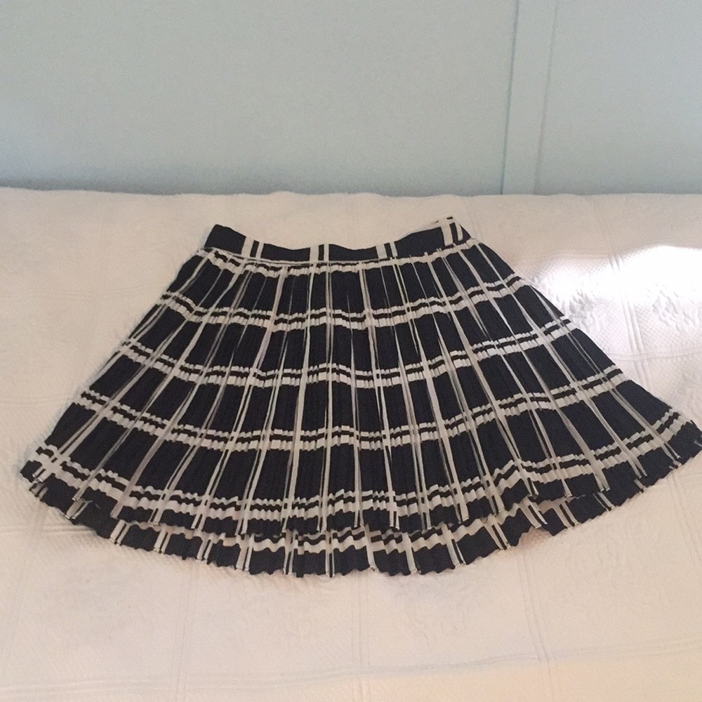 Black and white pleated skirt